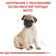 Корм Royal Canin Pug Puppy сухой для щенят породы мопс 1.5 кг - изображение 6