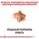 Корм Royal Canin German Shepherd Adult сухой для взрослых собак породы немецкая овчарка 11 кг - изображение 3