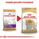 Корм Royal Canin Maltese Adult сухой для взрослых собак породы мальтезе 0.5 кг - изображение 6