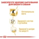 Корм Royal Canin Labrador Retriever Adult сухой для взрослых собак породы лабрадор 12 кг - изображение 5