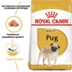 Корм Royal Canin Pug Adult сухой для взрослых собак породы мопс 1.5 кг - изображение 2