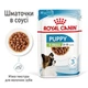Корм Royal Canin Puppy X-Small влажный для щенят мелких пород 85 гр - изображение 2