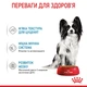 Корм Royal Canin Puppy X-Small влажный для щенят мелких пород 85 гр - изображение 3