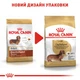 Корм Royal Canin Dachshund Adult сухий для дорослих собак породи такса 1.5 кг - зображення 6