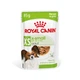 Корм Royal Canin X-Small Adult вологий для дорослих собак 85 гр - зображення 1