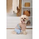Дощовик Pet Fashion Tina для дівчаток розмір S бежевий/блакитний PR243515 - изображение 6
