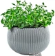 Горщик для квітів Keter Cozies-M (7290106927841_Grey) - зображення 2