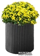 Горшок для цветов Keter Cylinder Planter M Серый (7290103668211) - изображение 1