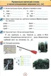 Рабочая тетрадь по украинскому языку. Применяю знания 3 класс. НУШ - Пономарева К. - изображение 2