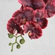 Искусственная орхидея фаленопсис 9 соцветий бордовая VF 0813 - изображение 2