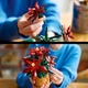 Конструктор LEGO Botanicals Молочай-рождественник 608 деталей (10370) - изображение 6