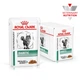 Корм Royal Canin Diabetic Feline Pouches влажный для котов с сахарным диабетом 85 гр - изображение 2