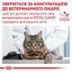 Корм Royal Canin Urinary S/O Feline Pouches влажный для кошек при заболеваниях нижних мочевыводящих путей 85 гр - изображение 8