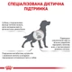 Корм Royal Canin Hepatic Canine сухой для взросліх собак с заболеваниями печени 12 кг - изображение 2