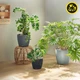 Вазон Lechuza Classico Color Eco 60 Темно-серый (18955) (4008789189554) - изображение 4