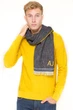 Шарф ARMANI JEANS Синие 195*36 (70363) - изображение 1
