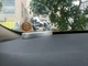 Ароматизатор в автомобиль Бык освежитель воздуха в машину на солнечной батарее (R051138) - изображение 8