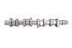 Розподільний вал KOLBENSCHMIDT 50006342 Volkswagen Golf, Polo, Jetta, Passat, Caddy, Touran, Multivan, Transporter; Skoda Octavia, Superb; Audi A4, A3; Seat Ibiza, Toledo, Cordoba 038109101AH - зображення 1