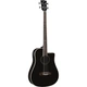 Електроакустична бас-гітара Eko Guitars NXT Bass B100ce (See Thru Black) - зображення 1