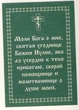 Святая мученица Юлия, путняя икона 8 х 6см - изображение 2