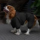 Комбинезон-дождевик для собак Barksi Textile S Черный (2007033074129) - изображение 5