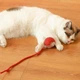Интерактивная игрушка для кота, умный мячик, красный + веревка-дразнилка - изображение 2