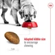 Сухой корм Royal Canin MAXI ADULT для взрослых собак Крупных пород 15 кг (3182550401937) - изображение 4