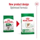 Сухой корм Royal Canin MINI AGEING 12+ для стареющих собак Мелких пород 800 г (3182550793353) - изображение 2