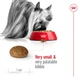 Сухой корм Royal Canin XSMALL ADULT 8+ для стареющих собак Миниатюрных пород 3 кг (3182550831352) - изображение 4