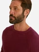 Джемпер мужской C&A 2182778b93 3XL Бордовый (KC1000000040598) - изображение 4