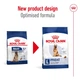 Сухий корм Royal Canin MAXI ADULT 5+ для старіючих собак Великих порід 4 кг (3182550402293) - зображення 2
