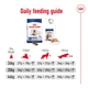 Сухий корм Royal Canin MAXI AGEING 8+ для старіючих собак Великих порід 15 кг (3182550803113) - зображення 6