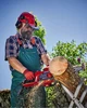 Einhell Пила ланцюгова GC-EC 1935, 1900 Вт, 35 см, 4.66 кг - изображение 11