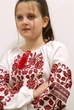Вышиванка Piccolo 110 см Бордовый (2000817739498) - изображение 2