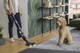 Пылесос Hoover HFX Pet HFX20P 011 Сменный аккумулятор Мини-электрическая щетка 84 дБ - изображение 5