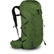 Рюкзак Osprey Talon 36 green belt/black L/XL зелений - изображение 1