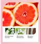 Лосьон для тела с ароматом грейпфрута с фигурной насадкой Images Grapefruit Is Soft Body Lotion 120г - изображение 3
