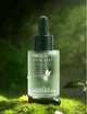 Сыворотка для лица с маслом авокадо Sadoer Avocado Anti Wrinkle Essence 30мл - изображение 2