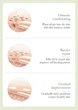 Сыворотка для лица с маслом авокадо Sadoer Avocado Anti Wrinkle Essence 30мл - изображение 8