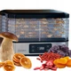 Сушилка для овощей, фруктов и грибов, дегидратор Zeegma Dry Chef Silver - изображение 1