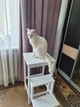 Стул стремянка трансформер для кухни дома табурет складной деревянный табуретка лестница из дерева складная на 3 ступени маленькая белая ясень стулья стремянки табуреты трансформеры - изображение 10