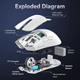 Беспроводная Мышь ATTACK SHARK X11 Черная 2.4G/Bluetooth/Провод, Сенсор PAW3311 22000 DPI - изображение 6