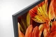 Телевизор 55 дюймов Sony KD-55XF8596 (4К 120 Гц Android TV T2/S2 Wi-Fi — 7304809484) Б/У - изображение 3