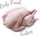 Sucha karma dla kotów Amanova Adult Cat Turkey Delight 1.5 kg (8413037331351) - obraz 3