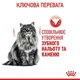 Сухой корм Royal Canin DENTAL cat для взрослых кошек с повышенной чувствительностью полости рта, 1.5 кг (2971015) - изображение 3