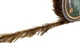 Лідкор Prologic ThaWeed Ready Leader 100CM 40lb NL (4шт / уп) - зображення 2