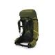 Рюкзак Osprey Atmos AG LT 65 scenic valley/green peppercorn L/XL зелений - изображение 4