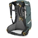 Рюкзак Osprey Sirrus 24 succulent green O/S сіро-зелений - изображение 3