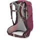 Рюкзак Osprey Sirrus 24 elderberry purple/chiru tan O/S бордовий - изображение 5