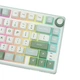 Клавиатура Игровая ROYAL KLUDGE R75 Бело-Салатовая Проводная Механическая, RGB Подсветка, С Поддержкой HOT-SWAP. Silver Switch - изображение 12
